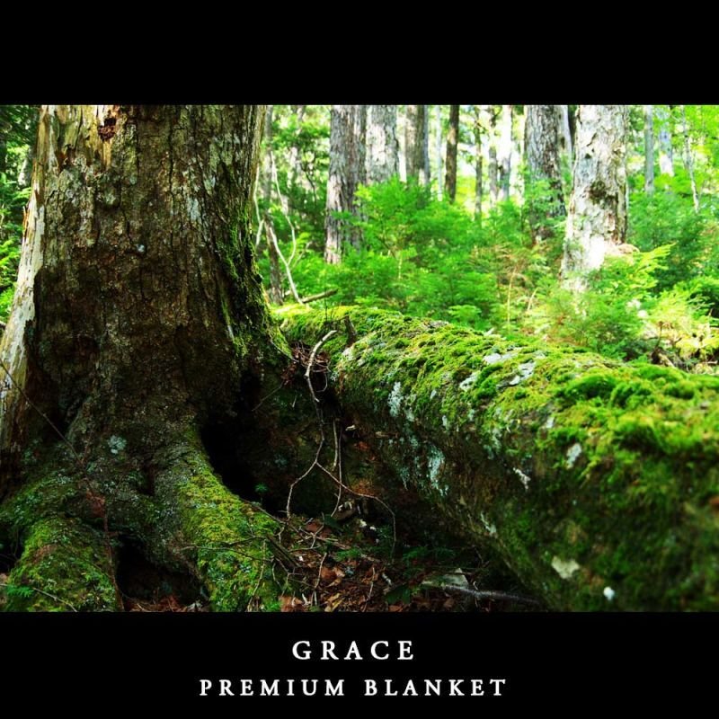 画像20: MAXMATERIA マックスマテリア GRACE 洗える毛布素材マフラー(ギフトBOXなし/ECO包装)