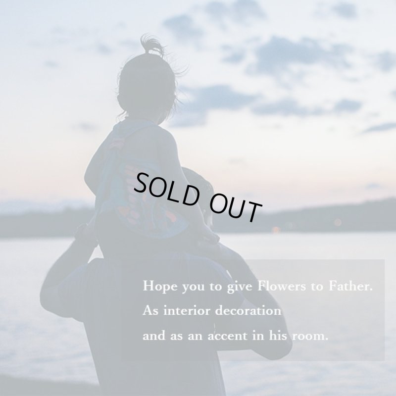 画像15: ■■■【限定モデル（申込期間2025/6/15まで）】MAXMATERIA 【花箱ハーベスト　ハンドタオル３点セット】■■■HAND 3■■■