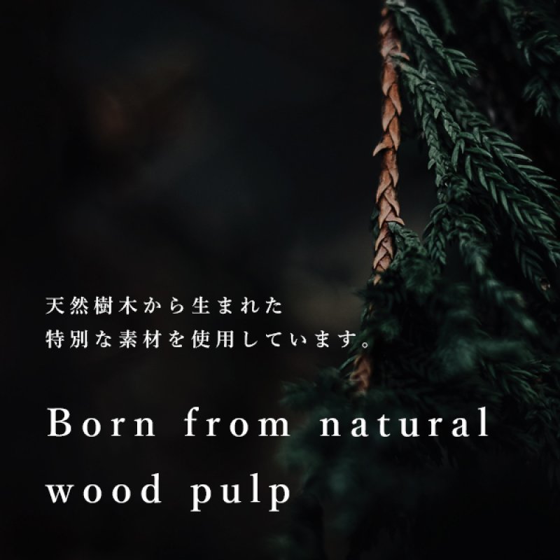 画像5: MAXMATERIA マックスマテリア SYMPHONY ハンドタオル BOX