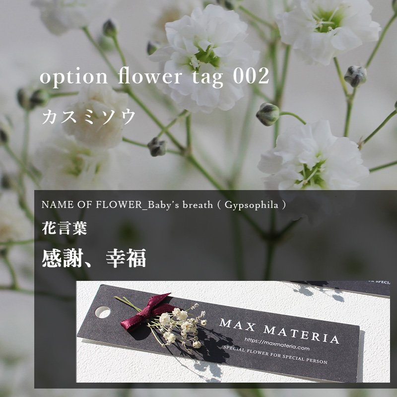 画像7: HB BLACK LABEL【 HBブラックレーベル 】 フェイスタオル HB FACE TOWEL