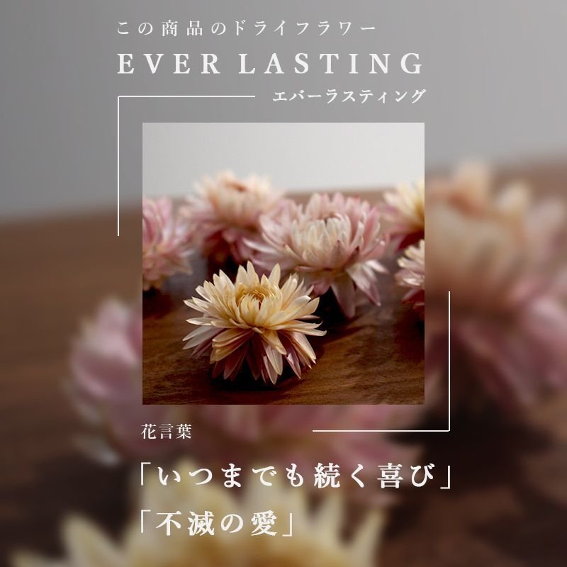 画像21: MAXMATERIA マックスマテリア HYBRID バスタオル SMART（ご自宅用）