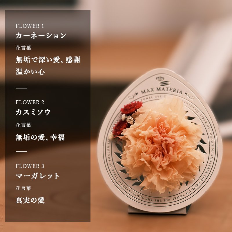 画像3: ◆母の日モデル数量限定品◆ MOTHER'S DAY カーネーション花束フェイスタオル ツートーンモーブピンク CARNATION FACE TOWEL