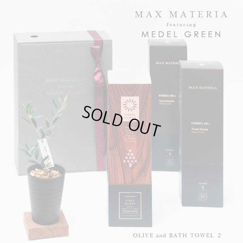画像5: 「 繁栄の象徴シリーズ 」 MAX MATERIA feat MEDEL GREEN　◆バス２P＆オリーブ若木 ◆ デザイン黒樹脂鉢＆ギフトBOX入り　オリーブ：底から葉先まで約25〜40cm前後に剪定済