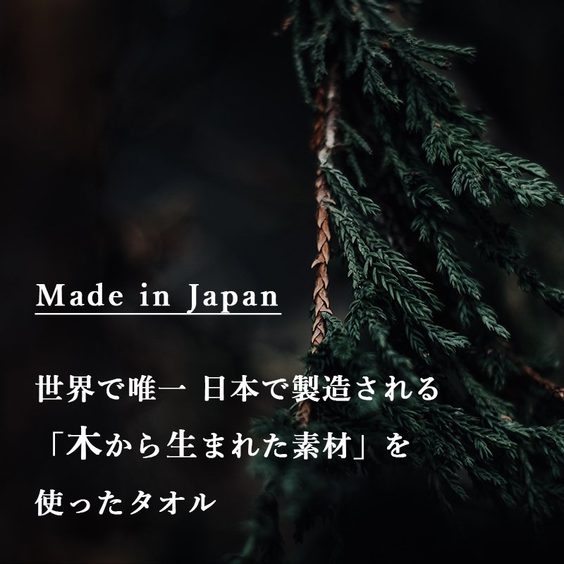 画像10: 「 繁栄の象徴シリーズ 」 MAX MATERIA feat MEDEL GREEN ◆バス2P&オリーブ若木 ◆ デザイン黒樹脂鉢&ギフトBOX入り オリーブ:底から葉先まで約25〜40cm前後に剪定済