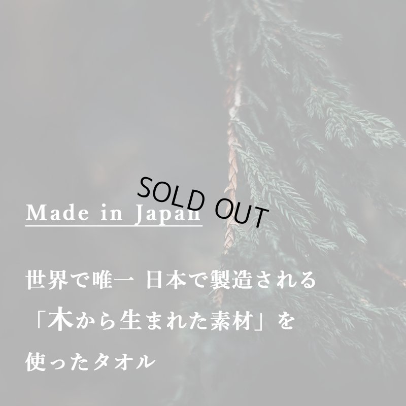 画像10: 「 繁栄の象徴シリーズ 」 MAX MATERIA feat MEDEL GREEN　◆バス２P＆オリーブ若木 ◆ デザイン黒樹脂鉢＆ギフトBOX入り　オリーブ：底から葉先まで約25〜40cm前後に剪定済