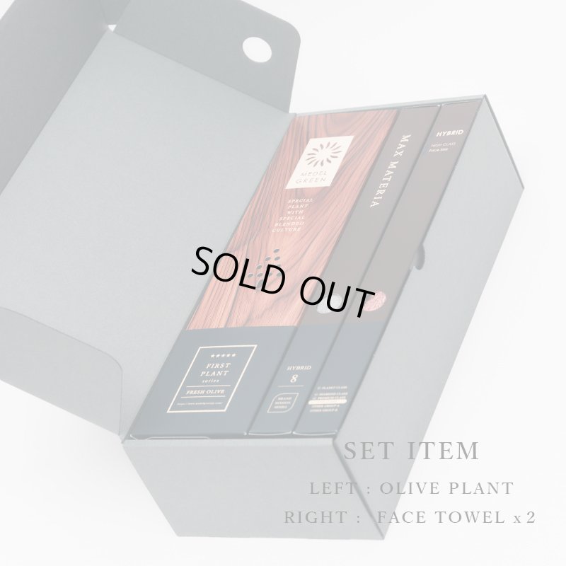 画像6: 「 繁栄の象徴シリーズ 」 MAX MATERIA feat MEDEL GREEN　◆フェイス２P＆オリーブ若木 ◆ デザイン黒樹脂鉢＆ギフトBOX入り　オリーブ：底から葉先まで約25〜40cm前後に剪定済