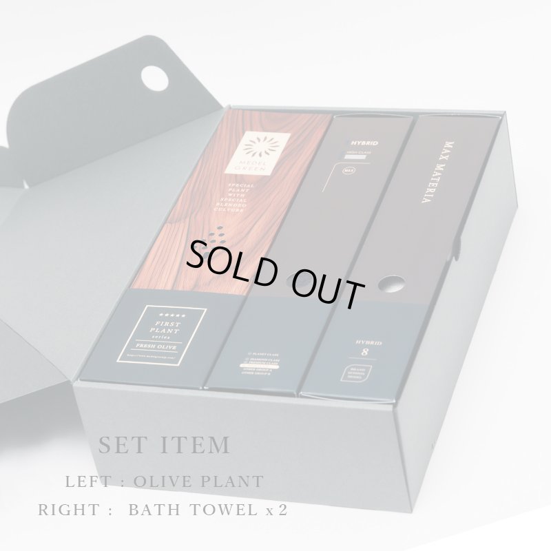 画像6: 「 繁栄の象徴シリーズ 」 MAX MATERIA feat MEDEL GREEN　◆バス２P＆オリーブ若木 ◆ デザイン黒樹脂鉢＆ギフトBOX入り　オリーブ：底から葉先まで約25〜40cm前後に剪定済