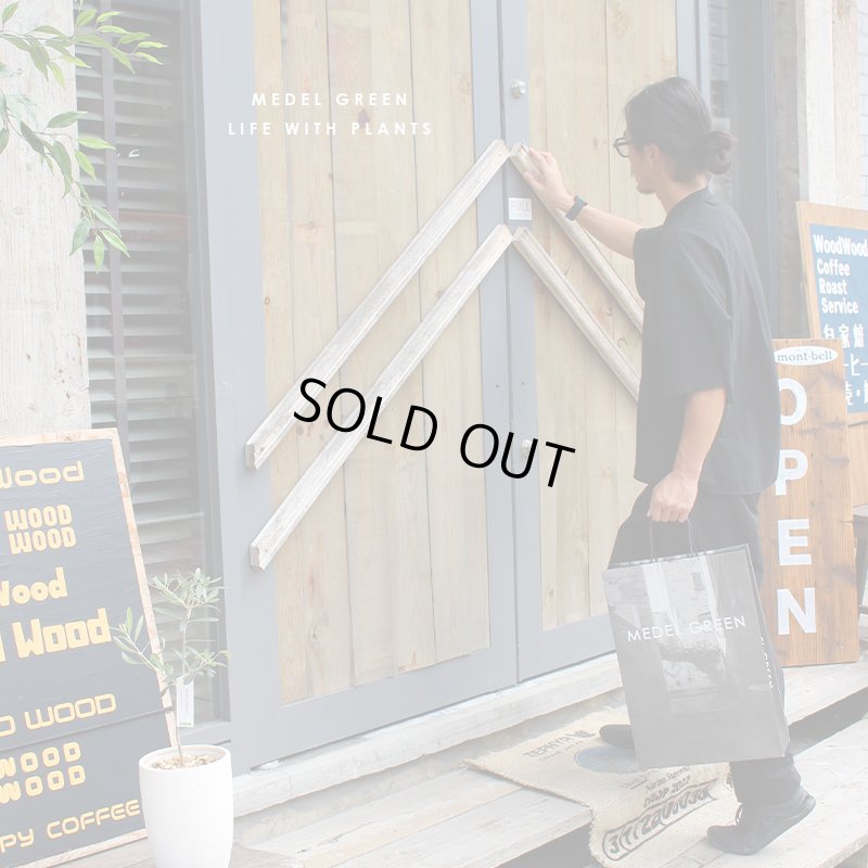 画像43: 「 繁栄の象徴シリーズ 」 MAX MATERIA feat MEDEL GREEN　◆フェイス２P＆オリーブ若木 ◆ デザイン黒樹脂鉢＆ギフトBOX入り　オリーブ：底から葉先まで約25〜40cm前後に剪定済