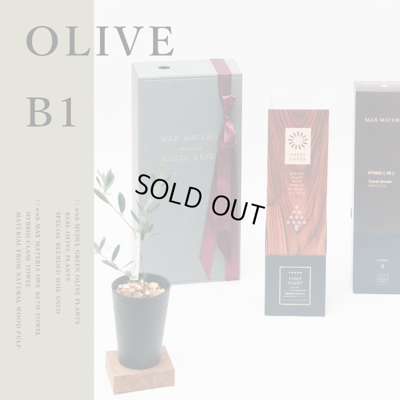 画像1: 「 繁栄の象徴シリーズ 」 MAX MATERIA feat MEDEL GREEN　◆バスタオル１P＆オリーブ若木 ◆ デザイン黒樹脂鉢＆ギフトBOX入り　オリーブ：底から葉先まで約25〜40cm前後に剪定済