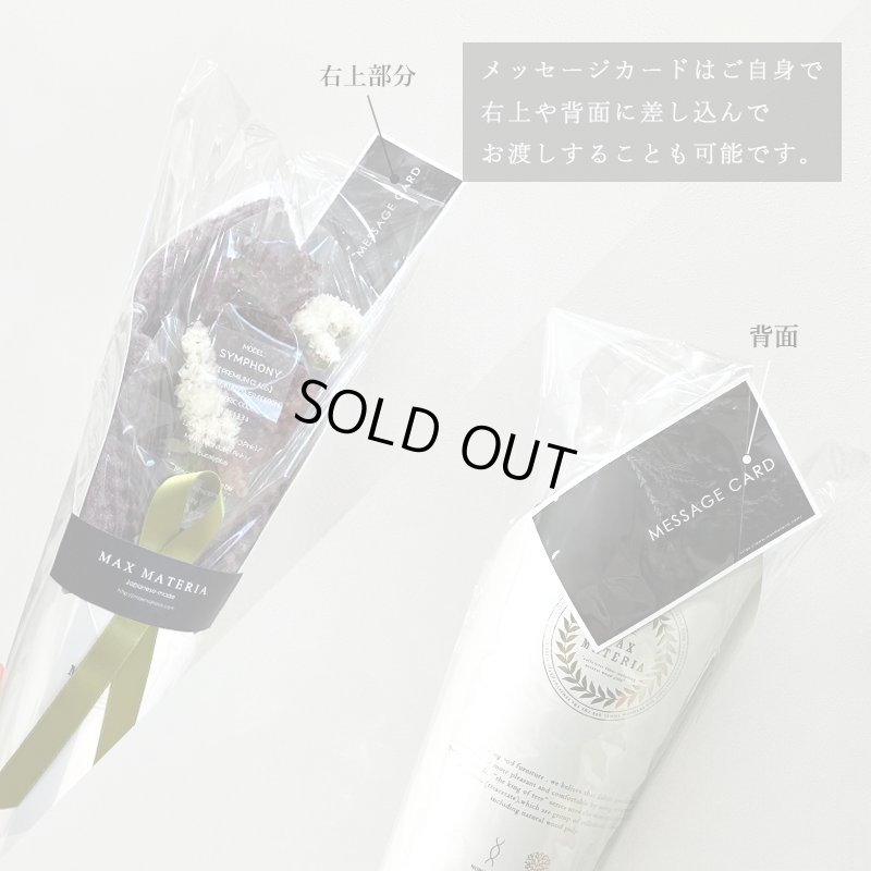 画像1: バスＰＨＯＴＯセット