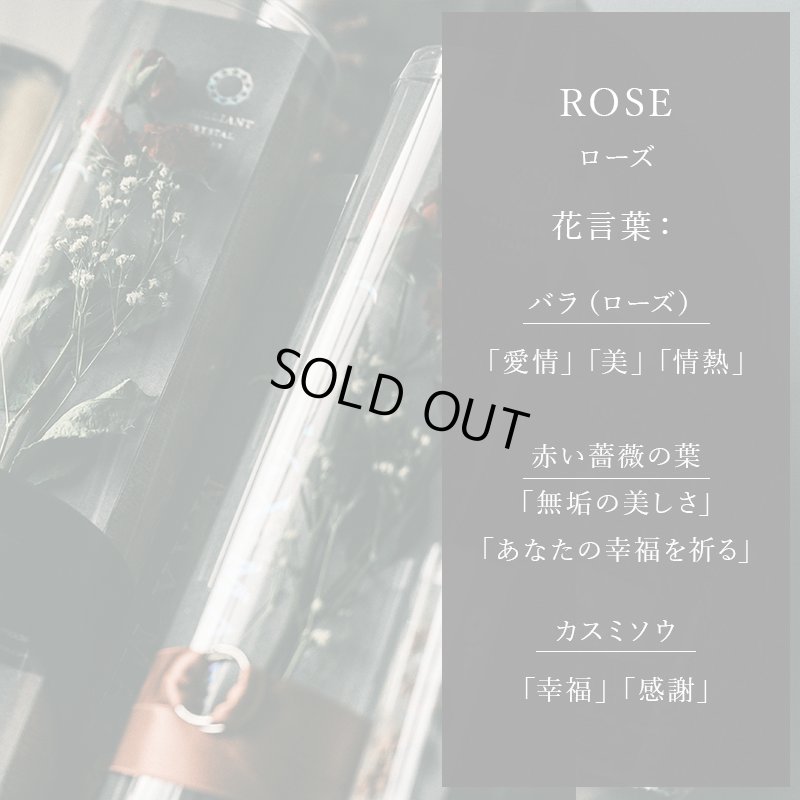 画像3: ◆ BOTANICAL ◆F2 【 ボタニカル フェイスタオル2枚セット HB 】