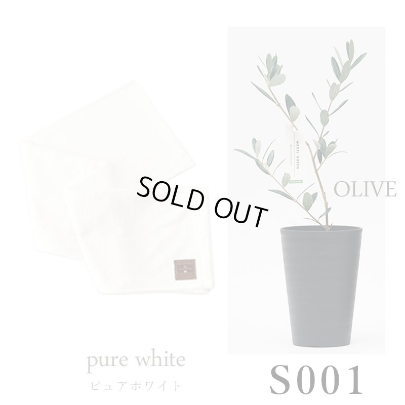 画像25: 「 繁栄の象徴シリーズ 」 MAX MATERIA feat MEDEL GREEN　◆バスタオル１P＆オリーブ若木 ◆ デザイン黒樹脂鉢＆ギフトBOX入り　オリーブ：底から葉先まで約25〜40cm前後に剪定済