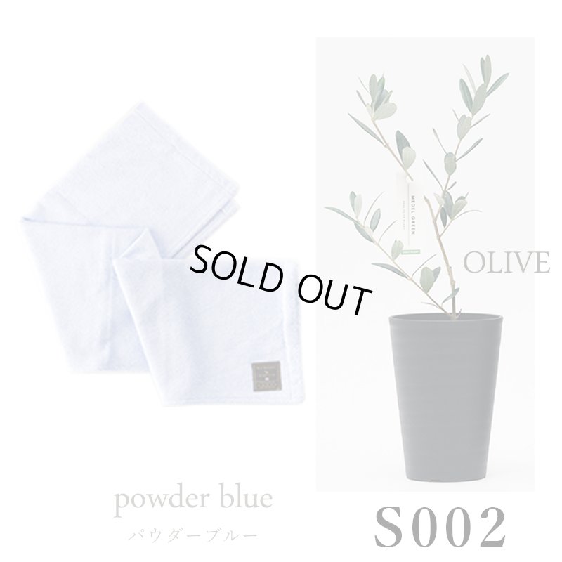 画像26: 「 繁栄の象徴シリーズ 」 MAX MATERIA feat MEDEL GREEN　◆バスタオル１P＆オリーブ若木 ◆ デザイン黒樹脂鉢＆ギフトBOX入り　オリーブ：底から葉先まで約25〜40cm前後に剪定済