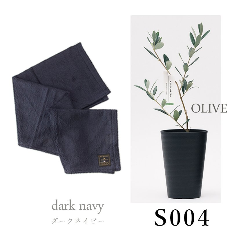 画像28: 「 繁栄の象徴シリーズ 」 MAX MATERIA feat MEDEL GREEN　◆バスタオル１P＆オリーブ若木 ◆ デザイン黒樹脂鉢＆ギフトBOX入り　オリーブ：底から葉先まで約25〜40cm前後に剪定済