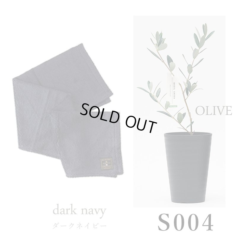 画像28: 「 繁栄の象徴シリーズ 」 MAX MATERIA feat MEDEL GREEN　◆バスタオル１P＆オリーブ若木 ◆ デザイン黒樹脂鉢＆ギフトBOX入り　オリーブ：底から葉先まで約25〜40cm前後に剪定済