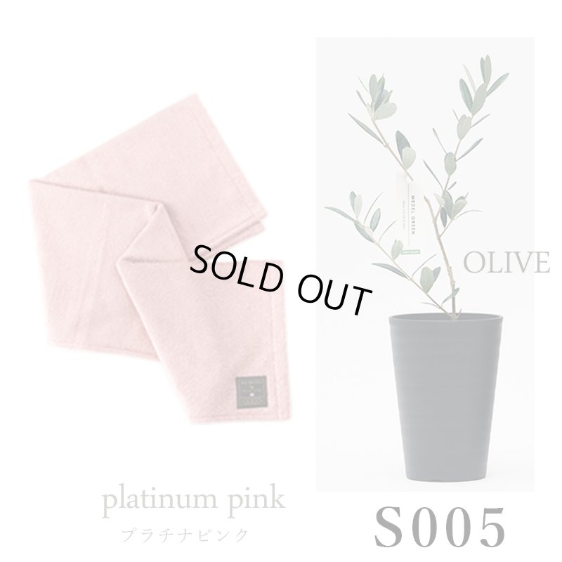 画像29: 「 繁栄の象徴シリーズ 」 MAX MATERIA feat MEDEL GREEN　◆バスタオル１P＆オリーブ若木 ◆ デザイン黒樹脂鉢＆ギフトBOX入り　オリーブ：底から葉先まで約25〜40cm前後に剪定済