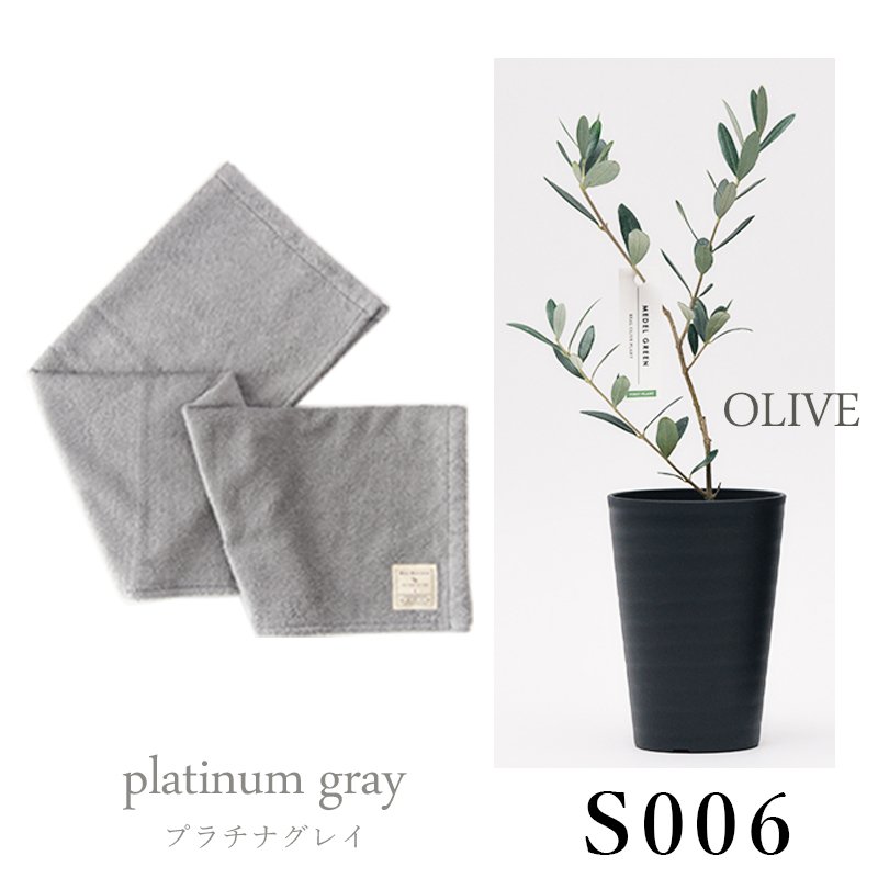 画像30: 「 繁栄の象徴シリーズ 」 MAX MATERIA feat MEDEL GREEN　◆バスタオル１P＆オリーブ若木 ◆ デザイン黒樹脂鉢＆ギフトBOX入り　オリーブ：底から葉先まで約25〜40cm前後に剪定済