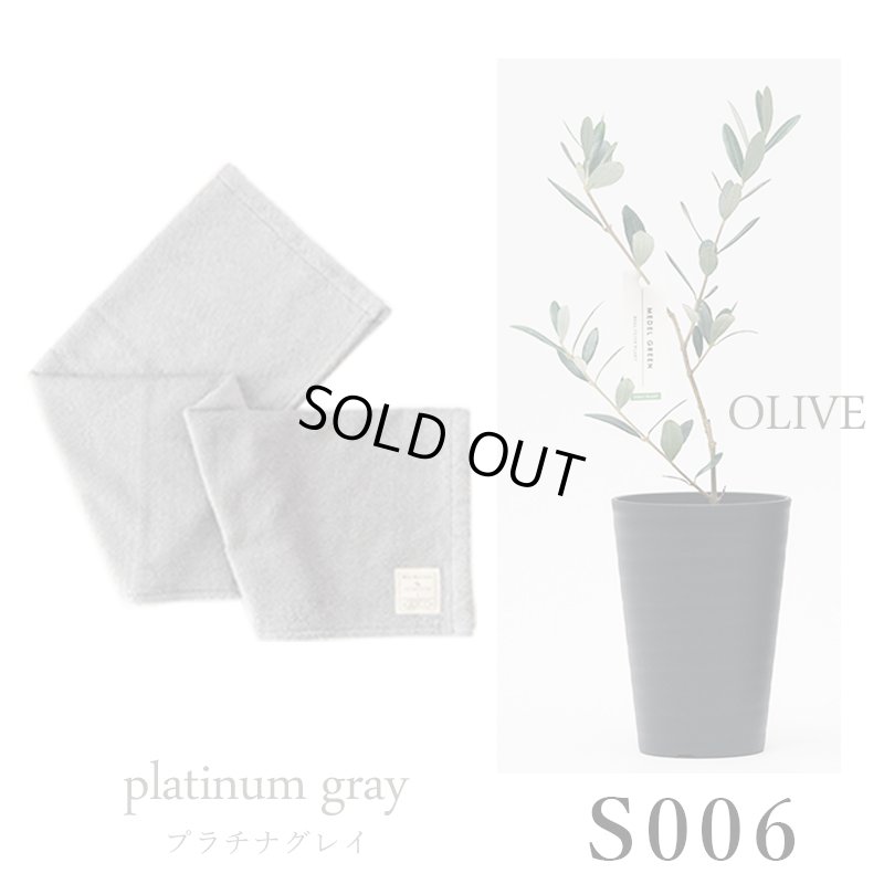 画像30: 「 繁栄の象徴シリーズ 」 MAX MATERIA feat MEDEL GREEN　◆バスタオル１P＆オリーブ若木 ◆ デザイン黒樹脂鉢＆ギフトBOX入り　オリーブ：底から葉先まで約25〜40cm前後に剪定済