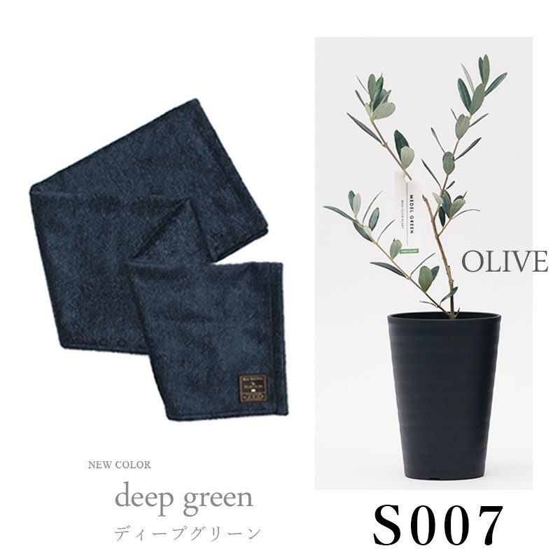 画像31: 「 繁栄の象徴シリーズ 」 MAX MATERIA feat MEDEL GREEN　◆バスタオル１P＆オリーブ若木 ◆ デザイン黒樹脂鉢＆ギフトBOX入り　オリーブ：底から葉先まで約25〜40cm前後に剪定済
