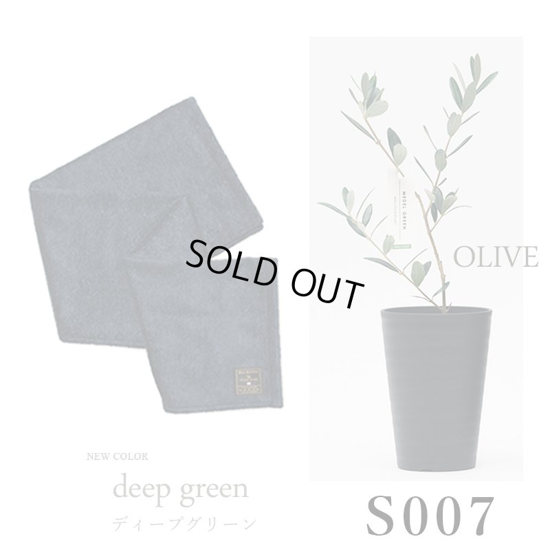 画像31: 「 繁栄の象徴シリーズ 」 MAX MATERIA feat MEDEL GREEN　◆バスタオル１P＆オリーブ若木 ◆ デザイン黒樹脂鉢＆ギフトBOX入り　オリーブ：底から葉先まで約25〜40cm前後に剪定済