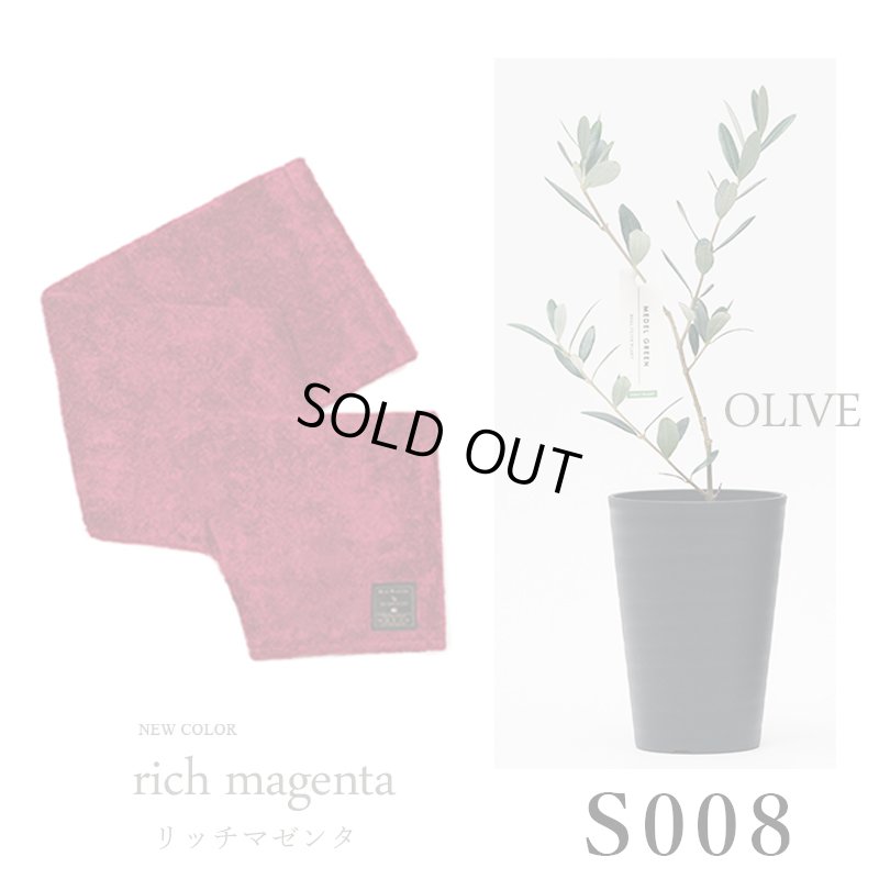 画像32: 「 繁栄の象徴シリーズ 」 MAX MATERIA feat MEDEL GREEN　◆バスタオル１P＆オリーブ若木 ◆ デザイン黒樹脂鉢＆ギフトBOX入り　オリーブ：底から葉先まで約25〜40cm前後に剪定済