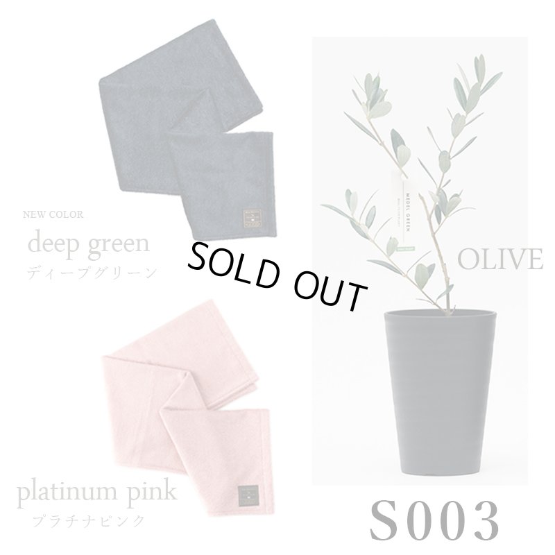 画像28: 「 繁栄の象徴シリーズ 」 MAX MATERIA feat MEDEL GREEN　◆バス２P＆オリーブ若木 ◆ デザイン黒樹脂鉢＆ギフトBOX入り　オリーブ：底から葉先まで約25〜40cm前後に剪定済