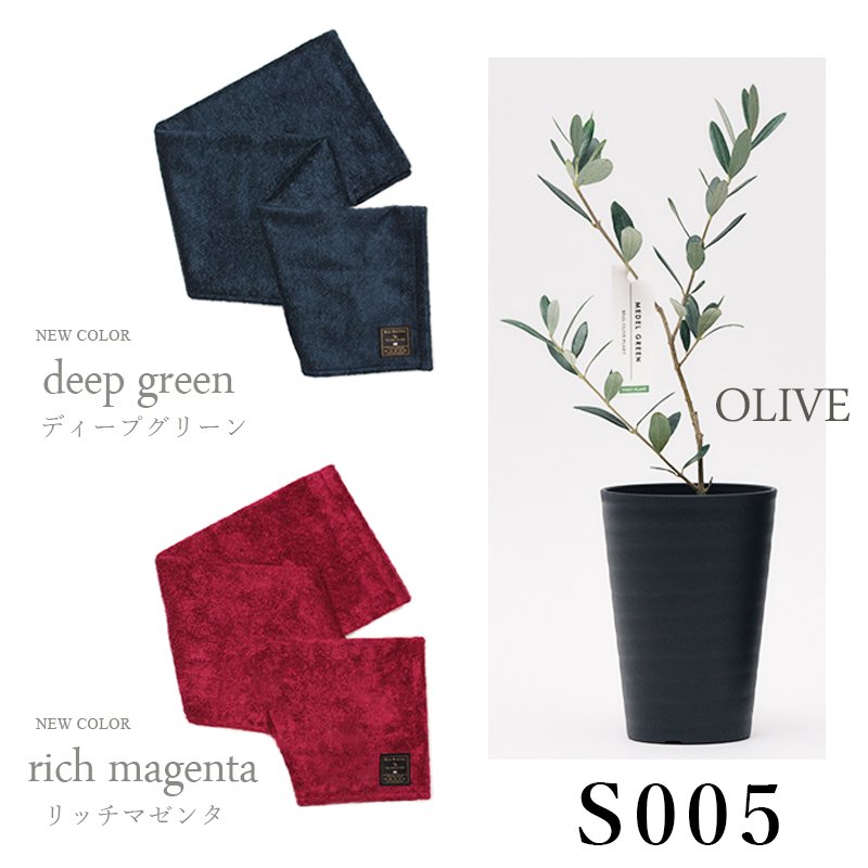 画像30: 「 繁栄の象徴シリーズ 」 MAX MATERIA feat MEDEL GREEN ◆バス2P&オリーブ若木 ◆ デザイン黒樹脂鉢&ギフトBOX入り オリーブ:底から葉先まで約25〜40cm前後に剪定済