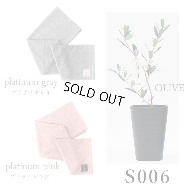 画像31: 「 繁栄の象徴シリーズ 」 MAX MATERIA feat MEDEL GREEN　◆バス２P＆オリーブ若木 ◆ デザイン黒樹脂鉢＆ギフトBOX入り　オリーブ：底から葉先まで約25〜40cm前後に剪定済