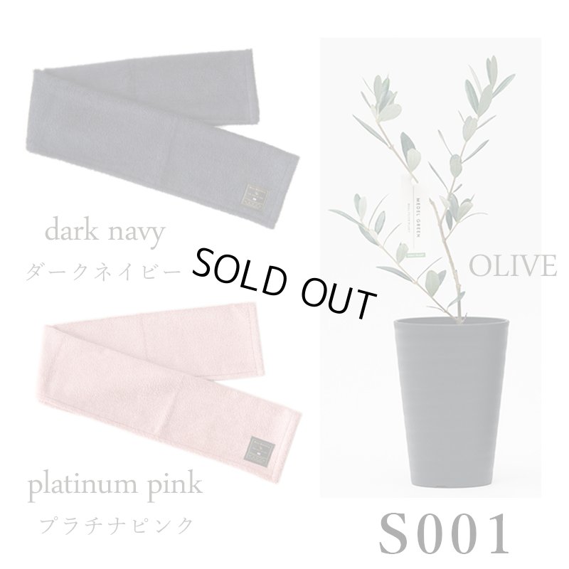 画像23: 「 繁栄の象徴シリーズ 」 MAX MATERIA feat MEDEL GREEN　◆フェイス２P＆オリーブ若木 ◆ デザイン黒樹脂鉢＆ギフトBOX入り　オリーブ：底から葉先まで約25〜40cm前後に剪定済