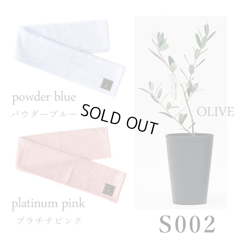 画像24: 「 繁栄の象徴シリーズ 」 MAX MATERIA feat MEDEL GREEN　◆フェイス２P＆オリーブ若木 ◆ デザイン黒樹脂鉢＆ギフトBOX入り　オリーブ：底から葉先まで約25〜40cm前後に剪定済