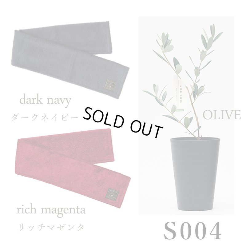 画像26: 「 繁栄の象徴シリーズ 」 MAX MATERIA feat MEDEL GREEN　◆フェイス２P＆オリーブ若木 ◆ デザイン黒樹脂鉢＆ギフトBOX入り　オリーブ：底から葉先まで約25〜40cm前後に剪定済