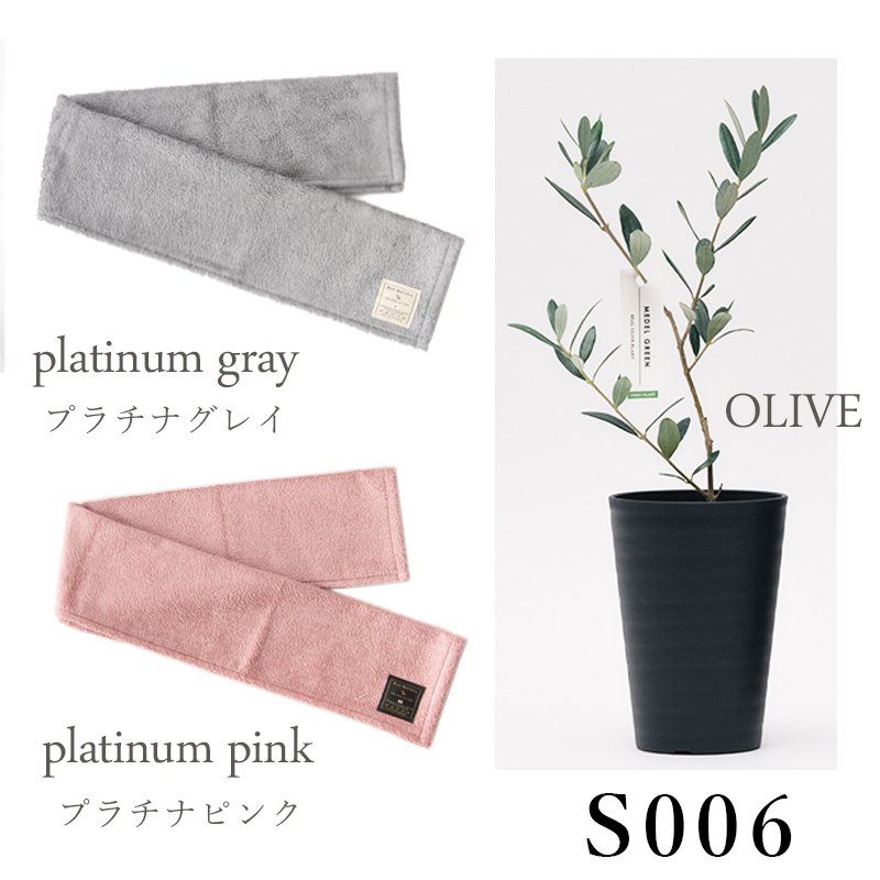 画像28: 「 繁栄の象徴シリーズ 」 MAX MATERIA feat MEDEL GREEN　◆フェイス２P＆オリーブ若木 ◆ デザイン黒樹脂鉢＆ギフトBOX入り　オリーブ：底から葉先まで約25〜40cm前後に剪定済