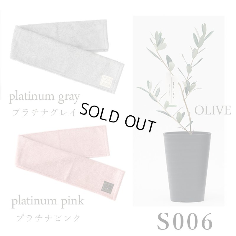 画像28: 「 繁栄の象徴シリーズ 」 MAX MATERIA feat MEDEL GREEN　◆フェイス２P＆オリーブ若木 ◆ デザイン黒樹脂鉢＆ギフトBOX入り　オリーブ：底から葉先まで約25〜40cm前後に剪定済