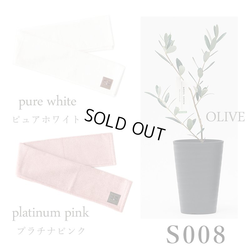 画像30: 「 繁栄の象徴シリーズ 」 MAX MATERIA feat MEDEL GREEN　◆フェイス２P＆オリーブ若木 ◆ デザイン黒樹脂鉢＆ギフトBOX入り　オリーブ：底から葉先まで約25〜40cm前後に剪定済