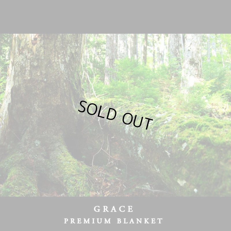 画像14: MAXMATERIA マックスマテリア GRACE ひざ掛け毛布 ラグサイズ （ギフトＢＯＸ入）