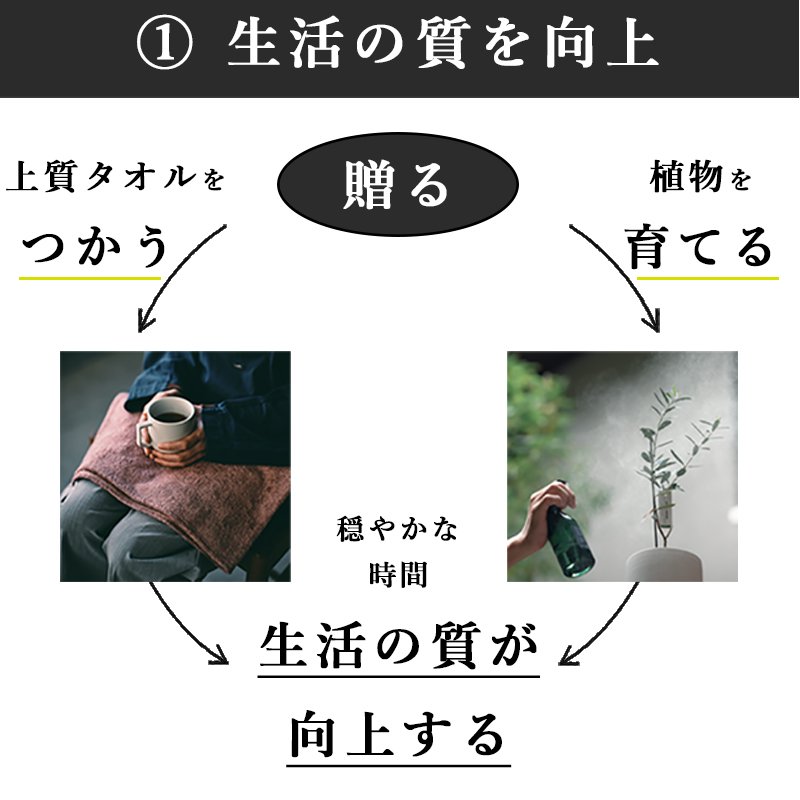 画像20: 「 繁栄の象徴シリーズ 」 MAX MATERIA feat MEDEL GREEN ◆バス2P&オリーブ若木 ◆ デザイン黒樹脂鉢&ギフトBOX入り オリーブ:底から葉先まで約25〜40cm前後に剪定済