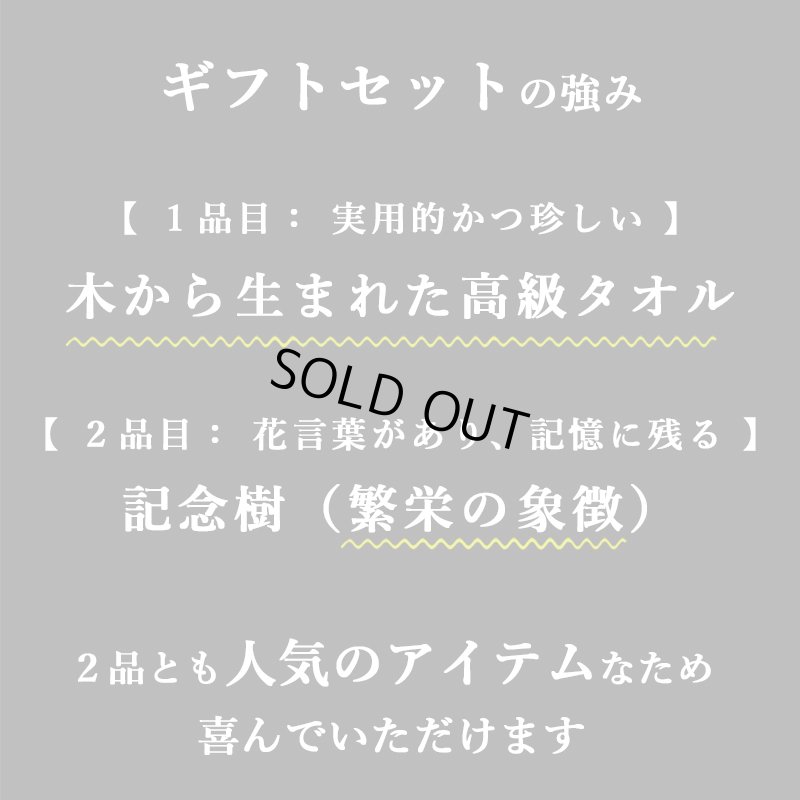 画像14: 「 繁栄の象徴シリーズ 」 MAX MATERIA feat MEDEL GREEN　◆バス２P＆オリーブ若木 ◆ デザイン黒樹脂鉢＆ギフトBOX入り　オリーブ：底から葉先まで約25〜40cm前後に剪定済