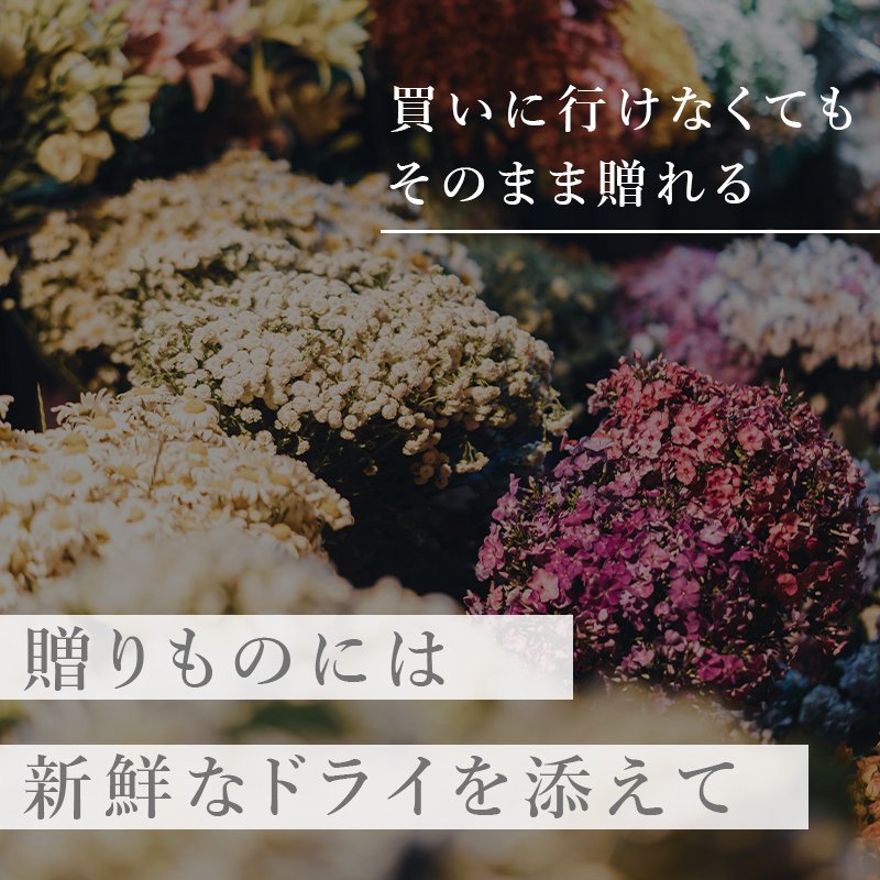 画像5: ◆最新作◆ 母の日に MAX MATERIA SURFACE ◆【 サーフェイス スタイルブースター（ロングスカーフ） SR 】