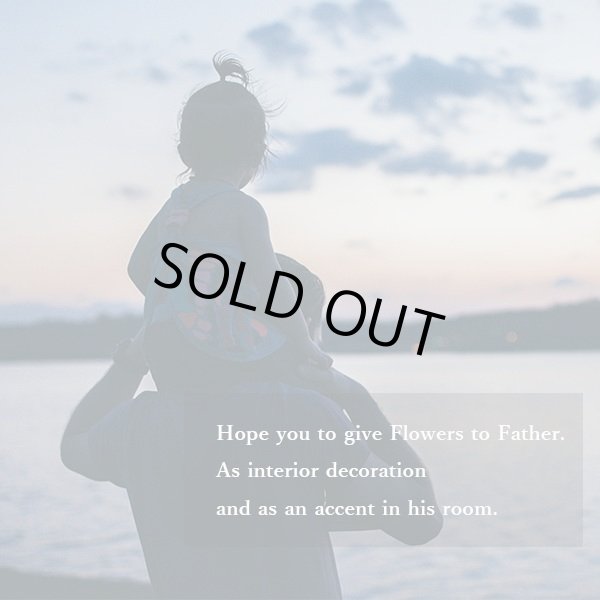 画像15: ■■■【限定モデル（申込期間2025/6/15まで）】MAXMATERIA 【花箱ハーベスト　ハンドタオル３点セット】■■■HAND 3■■■ (15)