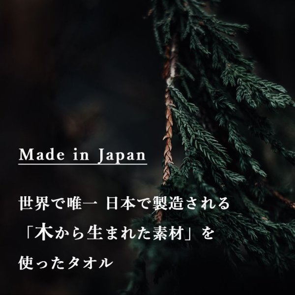 画像22: 花束タオル フェイスタオル セット FLOWER FACE TOWEL SET (22)