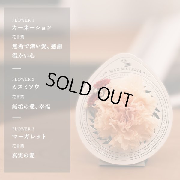 画像3: ◆数量限定品◆【2025年版】 MOTHER'S DAY カーネーション花束フェイスタオル ツートーンモーブピンク CARNATION FACE TOWEL (3)