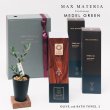 画像5: ◆ 最新作 ◆「 繁栄の象徴シリーズ 」 MAX MATERIA feat MEDEL GREEN　◆バス２P＆オリーブ若木 ◆ デザイン黒樹脂鉢＆ギフトBOX入り　オリーブ：底から葉先まで約25〜40cm前後に剪定済 (5)