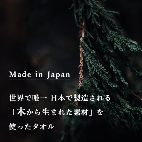 画像10: 「 繁栄の象徴シリーズ 」 MAX MATERIA feat MEDEL GREEN ◆バス2P&オリーブ若木 ◆ デザイン黒樹脂鉢&ギフトBOX入り オリーブ:底から葉先まで約25〜40cm前後に剪定済 (10)