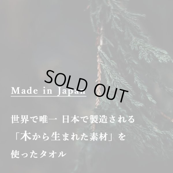 画像8: 「 繁栄の象徴シリーズ 」 MAX MATERIA feat MEDEL GREEN　◆バスタオル１P＆オリーブ若木 ◆ デザイン黒樹脂鉢＆ギフトBOX入り　オリーブ：底から葉先まで約25〜40cm前後に剪定済 (8)