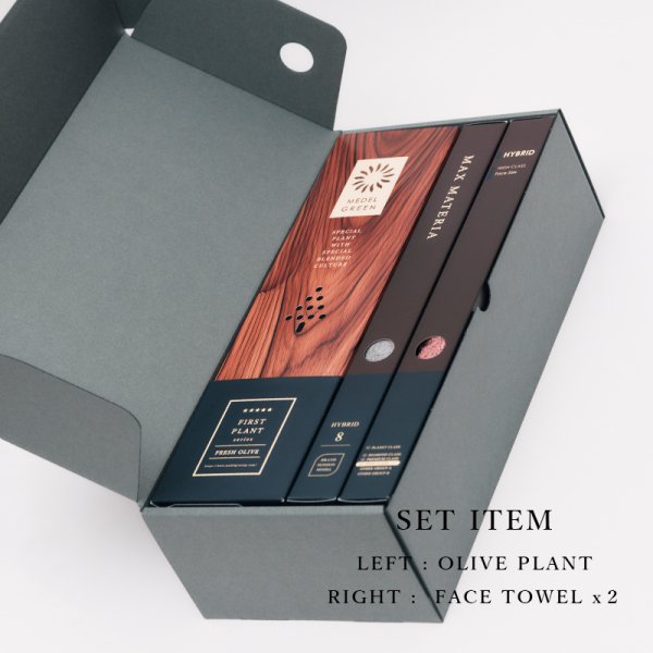 画像6: 「 繁栄の象徴シリーズ 」 MAX MATERIA feat MEDEL GREEN　◆フェイス２P＆オリーブ若木 ◆ デザイン黒樹脂鉢＆ギフトBOX入り　オリーブ：底から葉先まで約25〜40cm前後に剪定済 (6)