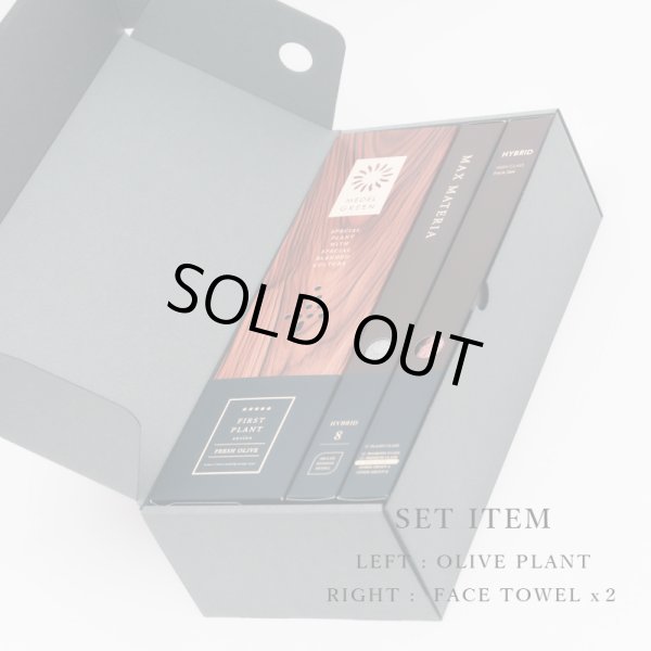 画像6: 「 繁栄の象徴シリーズ 」 MAX MATERIA feat MEDEL GREEN　◆フェイス２P＆オリーブ若木 ◆ デザイン黒樹脂鉢＆ギフトBOX入り　オリーブ：底から葉先まで約25〜40cm前後に剪定済 (6)