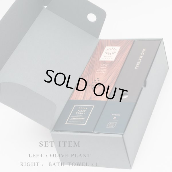 画像10: 「 繁栄の象徴シリーズ 」 MAX MATERIA feat MEDEL GREEN　◆バスタオル１P＆オリーブ若木 ◆ デザイン黒樹脂鉢＆ギフトBOX入り　オリーブ：底から葉先まで約25〜40cm前後に剪定済 (10)