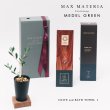 画像6: ◆ 最新作 ◆「 繁栄の象徴シリーズ 」 MAX MATERIA feat MEDEL GREEN　◆バスタオル１P＆オリーブ若木 ◆ デザイン黒樹脂鉢＆ギフトBOX入り　オリーブ：底から葉先まで約25〜40cm前後に剪定済 (6)