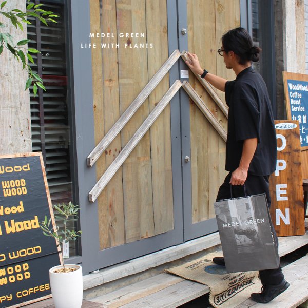 画像43: 「 繁栄の象徴シリーズ 」 MAX MATERIA feat MEDEL GREEN　◆フェイス２P＆オリーブ若木 ◆ デザイン黒樹脂鉢＆ギフトBOX入り　オリーブ：底から葉先まで約25〜40cm前後に剪定済 (43)