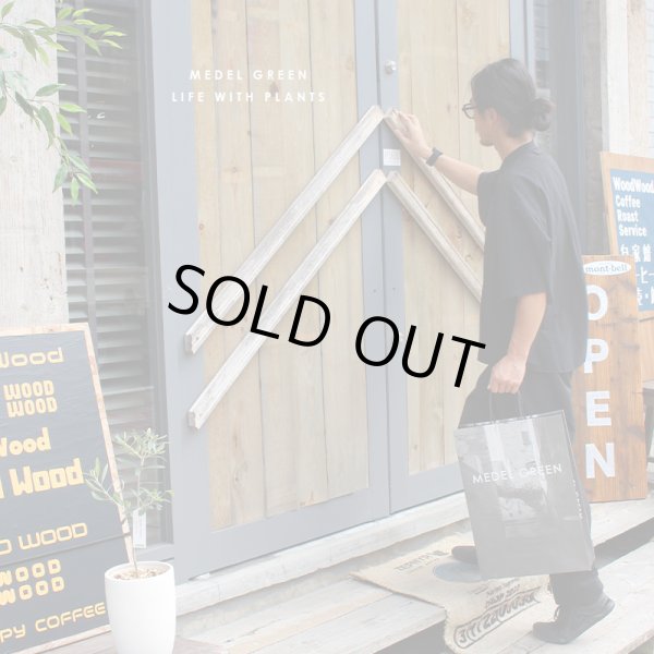 画像43: 「 繁栄の象徴シリーズ 」 MAX MATERIA feat MEDEL GREEN　◆フェイス２P＆オリーブ若木 ◆ デザイン黒樹脂鉢＆ギフトBOX入り　オリーブ：底から葉先まで約25〜40cm前後に剪定済 (43)